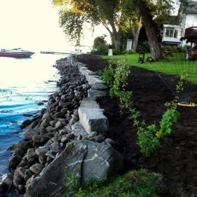 Shoreline Restoration with Native Shrub Plantings